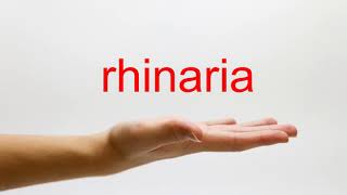 How to Pronounce rhinaria  American English [upl. by Velick]