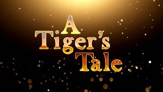 A Tigers Tale Trailer [upl. by Onaimad]