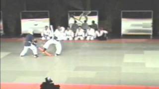 Yoseikan Jujutsu  Yoseikan Aikido demonstration 1 of 3  Edgar Kruyning 2004mpg [upl. by Edmond]