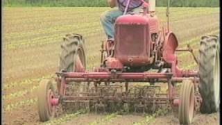 WeedControl Machines  Harvest Farm Whately MA [upl. by Santoro]