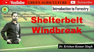 Shelterbelt and windbreak [upl. by Bahe878]