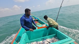 நண்டு வலையில் நீளகால் புள்ளிநண்டு பிடித்தோம்We caught a longlegged spotted crab in a crab net [upl. by Anived635]