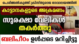 🔴പെരിങ്ങല്‍കുത്ത് ക്രിസ്തുരാജ ദേവാലയത്തില്‍ 🔴കാട്ടാനകളുടെ അക്രമണം🔴ബലിപീഠം ഉള്‍പ്പടെ മറിച്ചിട്ടു [upl. by Dnalor149]