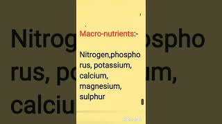 Exploring Essential Nutrients A Guide to Macronutrients and Micronutrients ytshorts study short [upl. by Monreal]