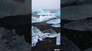 Diamond Beach glistens with ice on black sand trendingshorts travel [upl. by Irahc96]