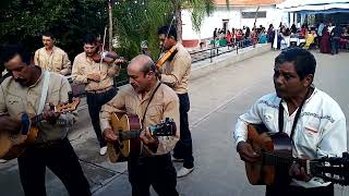 Ojitos provincianos mariachi copales Jalisco [upl. by Arlo]