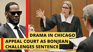 R Kellys Chicago Appeal Ignites Legal Drama as Bonjean challenges 20 years sentence [upl. by Aela]