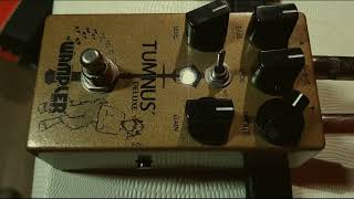 Wampler Tumnus deluxe  Marshall JCM800 2204 Part 1 rhythmic [upl. by Charla615]