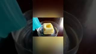 Study of Osmosis  Potato Cup Experiment [upl. by Anadroj]