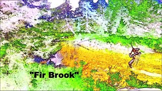 Catskills Fly Fishing Part Three quotFir Brookquot [upl. by Sucul231]