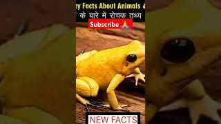 New facts shorts facts😲👍🙏amazingfacts [upl. by Allehc]