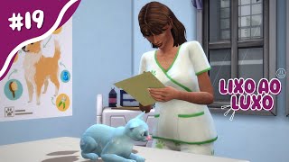 PRIMEIRO DIA NA CLÍNICA VETERINÁRIA LIXO AO LUXO THE SIMS 4 [upl. by Trust364]