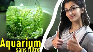 Je fabrique un aquarium pour ma soeur [upl. by Bastian]