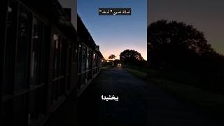 اصالة نصري quot آسفه quot [upl. by Mccourt]