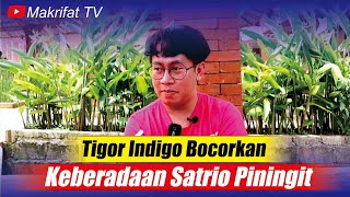 TIGOR OTADAN BOCORKAN KEBERADAAN SATRIO PININGIT  INDIGO TIGOR OTADAN [upl. by Audri]