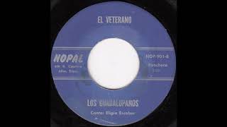 Los Guadalupanos  El veterano [upl. by Navy]