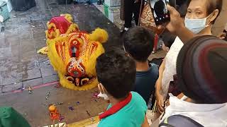 Lion dance at whampoa drive blk 86 [upl. by Takara477]