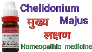 Chelidonium Majus q homeopathic medicine symptoms amp uses in hindi [upl. by Alwin742]