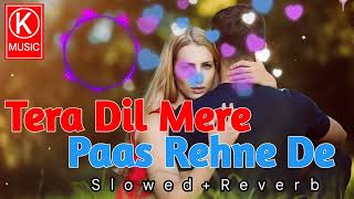 Tera Dil Mere Paas Rehne De  Slowed amp Reverb Song  Udit N amp Alka Y  90s hits  KAMRUL MUSIC [upl. by Matthaus118]