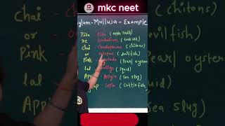 Phylum Mollusca examples Trick neetprepration neet phylum 2025 viralshorts educationalvideo [upl. by Ellehcam]