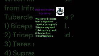 ANATOMY  UPPER EXTREMITIES Multiple Choice Que No6 bhms bams mbbs bscnursing first year exam [upl. by Drobman]