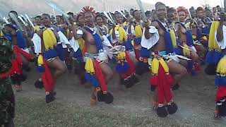 Royal Eswatini Police maidens dancing before their Majesties during the 2018 Umhlanga Reeddance [upl. by Courtney398]