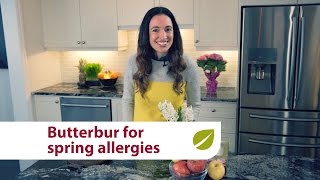 Butterbur  Natural Relief for Spring Seasonal Allergies [upl. by Stace227]