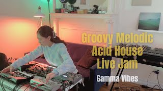 Gamma Vibes  Groovy Melodic Acid House Dawless Live Jam [upl. by Navap]