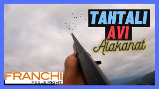 Tahtalı Avı  4K  1 Bölüm  Alanakat  Tepeyi Tahtalılar Sarmış  Pigeon Hunting [upl. by Elinnet]