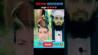 সাপের মায়া দেখুন। Mizanur Rahman Azhari reels emotional inspiration [upl. by Fatsug]