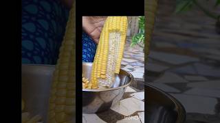 sweet corn 🌽🌽🌽😋😋👌👌🤣🤣like sharesubscribe [upl. by Lliw]