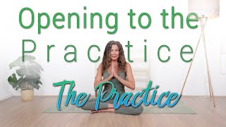 Opening to the Yoga Practice 10  quotThe Practicequot [upl. by Bonita135]