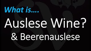 WTF is AUSLESE Wine amp Beerenauslese What The FRUiT Episode 3 [upl. by Maure]