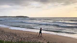 29102024 Sydney Surf Report Dee Why Beach Australia [upl. by Llehsyar]