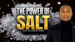 The Power of Salt  Apostle Miz Mzwakhe Tancredi  New life Global Church [upl. by Hersh]