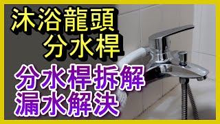 分水桿 蓮蓬頭漏水 分水杆切換有問題 沐浴龍頭分水器拆解分析及解決方法 洗澡 水龍頭 凡爾 落水頭 止洩帶 陶瓷芯 馬桶 堵塞 臉盆 廚房 更換 居家水電修繕 安裝 阿寶頻道 修EP16 [upl. by Macleod]