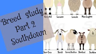 Breed study Part 2 Southdown [upl. by Christophe396]