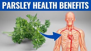 PARSLEY BENEFITS  13 Impressive Health Benefits of Parsley You Need To Know [upl. by Junina]