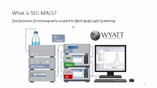 Understanding Absolute Stoichiometry of Oligomeric Protein Complexes Using SECMALS [upl. by Ayk]