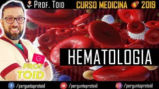 💉 Hematologia Básica  Medicina  Ensino Superior  Prof Toid 💉 [upl. by Gilburt519]