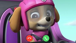 Incoming call from Skye  Paw Patrol [upl. by Ahsatin]