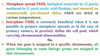 Definition of Metaphase and Interphase FISH Technique [upl. by Aisena]