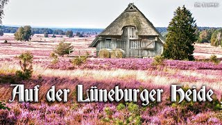 Auf der Lüneburger Heide German soldier songEnglish translation [upl. by Lap659]