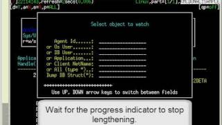db2top The Watch feature [upl. by Lubet237]
