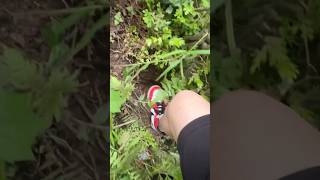 hikingadventures travel nature wildwaters 🌊 🤌🏻fypシ゚viral viralvideo shorts [upl. by Tereb]