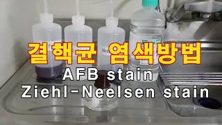 AFB stain ZiehlNeelsen stain결핵검사방법 결핵균염색법 [upl. by Arodoet]