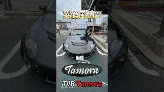 罕見英倫跑車TVR Tamora 一日一車一知識 鴨子車庫 [upl. by Elrebma]