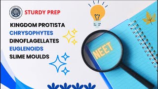 Kingdom Protista  Chrysophytes  Dinoflagellates  Euglenoids  Slime Moulds  neet  subscribe [upl. by Suoirtemed]