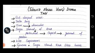 Tobacco mosaic virus disease [upl. by Schlicher]