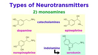 Neurotransmitters Type Structure and Function [upl. by Ettennan343]